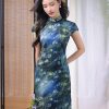 Sky-Blue Jinling Satin with Cosmic Daisies - Relaxed Silhouette | Modern one-Pieces Qipao Dress (彗予) - Thumbnail Image 11